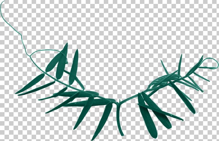 Leaf Plant Stem Liana Branch PNG, Clipart, 18 January, Artwork, Blog, Branch, Clip Art Free PNG Download