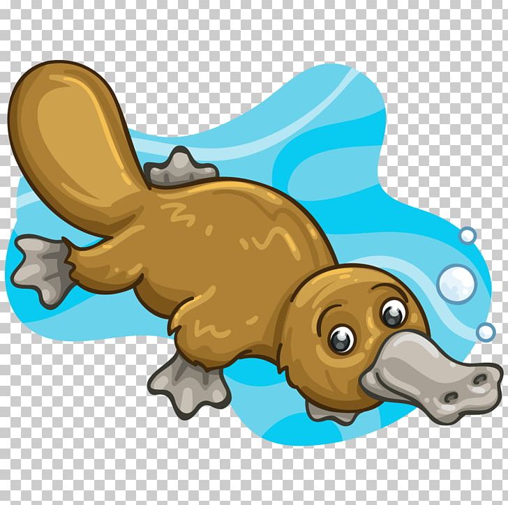 Platypus Mammal Monotreme Animal Dog PNG, Clipart, Animal, Animals, Canidae, Carnivora, Carnivoran Free PNG Download