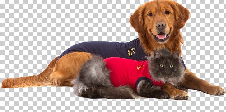 T-shirt Cat Dog Cap Sleeve PNG, Clipart, Bodysuit, Cap, Carnivoran, Cat, Clothing Free PNG Download