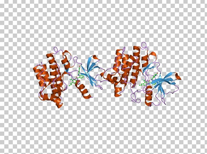 ABL2 Oncogene Protein PNG, Clipart, Abl, Arsenic, Domain, Ebi, Enzyme Free PNG Download