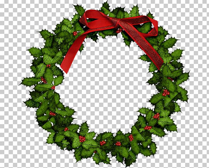 Christmas Wreath PNG, Clipart, Advent Wreath, Aquifoliaceae, Aquifoliales, Christmas, Christmas Decoration Free PNG Download