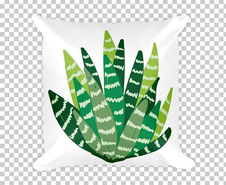 Throw Pillows IPhone 7 Succulent Plant Cushion PNG, Clipart, Cactaceae, Couch, Cushion, Echeveria, Furniture Free PNG Download