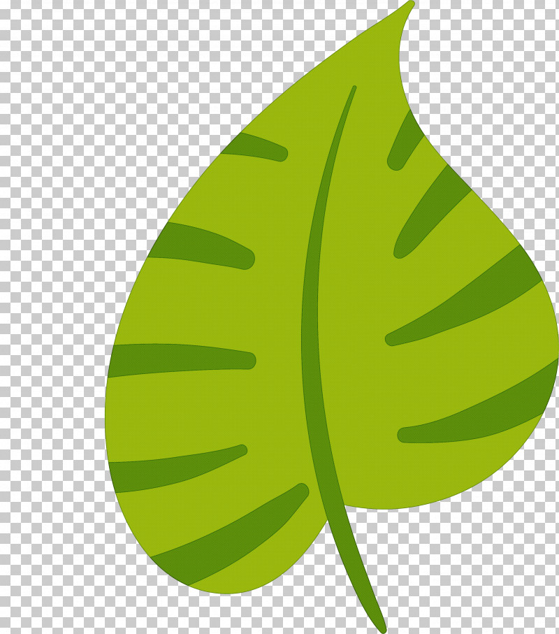 Leaf PNG, Clipart, Biology, Fruit, Green, Leaf, Plants Free PNG Download