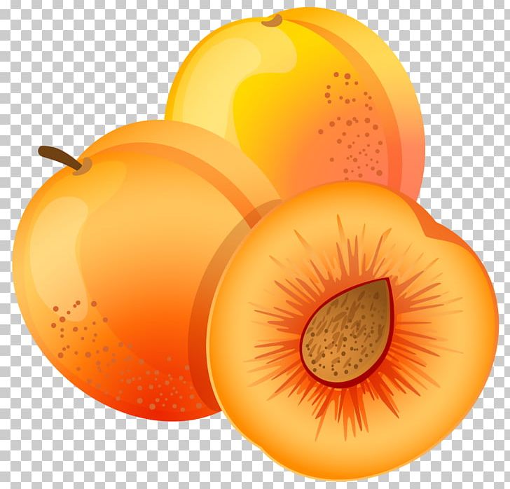 Apricot Fruit Peach PNG, Clipart, Apricot, Can Stock Photo, Clip Art, Clipart, Computer Icons Free PNG Download