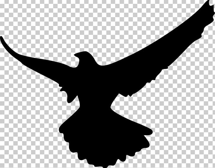 Bird Eagle Silhouette PNG, Clipart, Beak, Bird, Black And White, Computer Icons, Download Free PNG Download