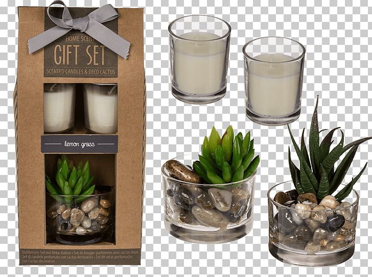Candle Gift Party Vanilla Birthday PNG, Clipart, Birthday, Cactaceae, Candle, Candlestick, Cymbopogon Citratus Free PNG Download
