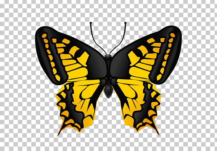 Computer Icons Desktop PNG, Clipart, Arthropod, Brush Footed Butterfly, Butterfly, Butterflyz, Computer Icons Free PNG Download