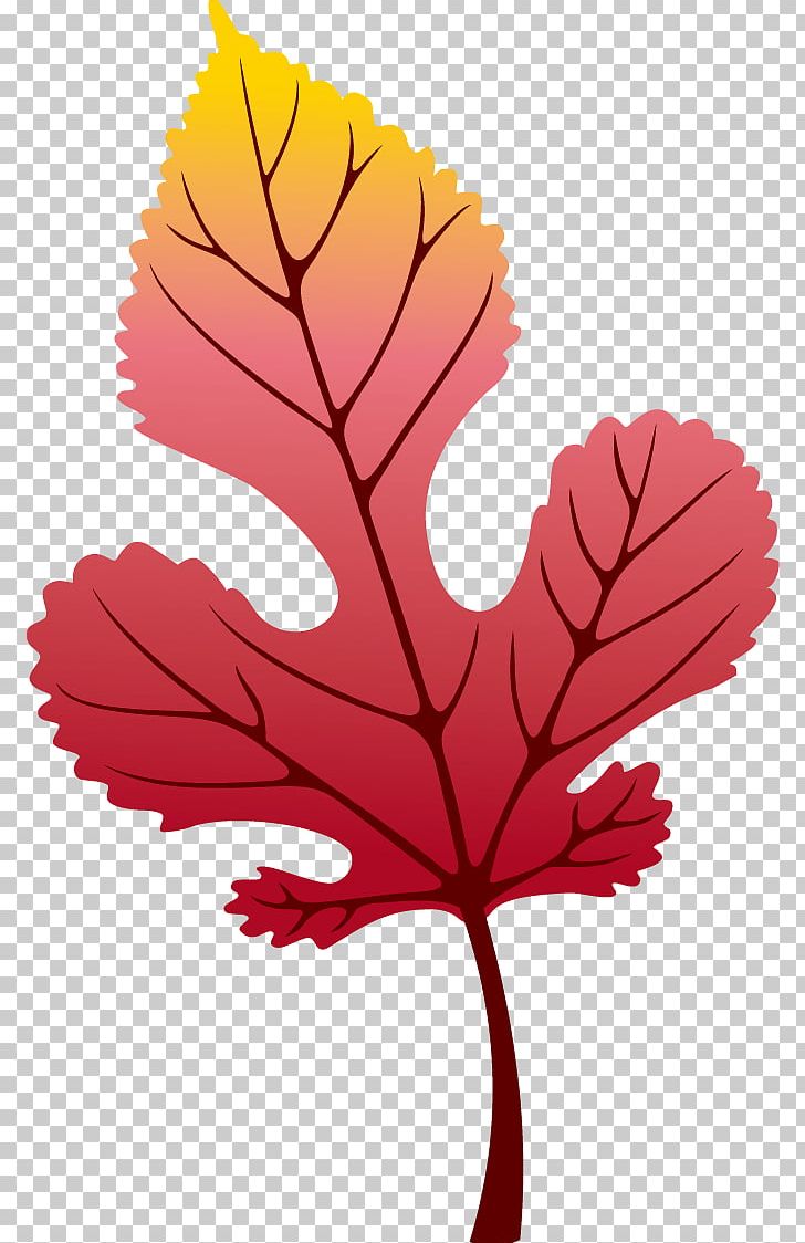Maple Leaf Autumn PNG, Clipart, Art, Autumn, Autumn Elements, Autumn Leaves, Autumn Vector Free PNG Download