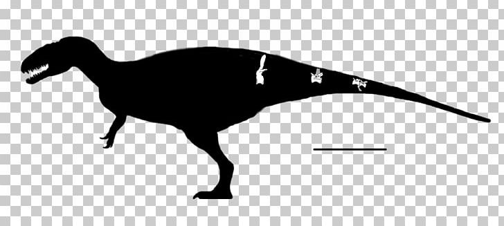 Veterupristisaurus Eocarcharia Tendaguru Formation Acrocanthosaurus Vertebrate PNG, Clipart, Acrocanthosaurus, Beak, Black And White, Bone, Carcharodontosauridae Free PNG Download
