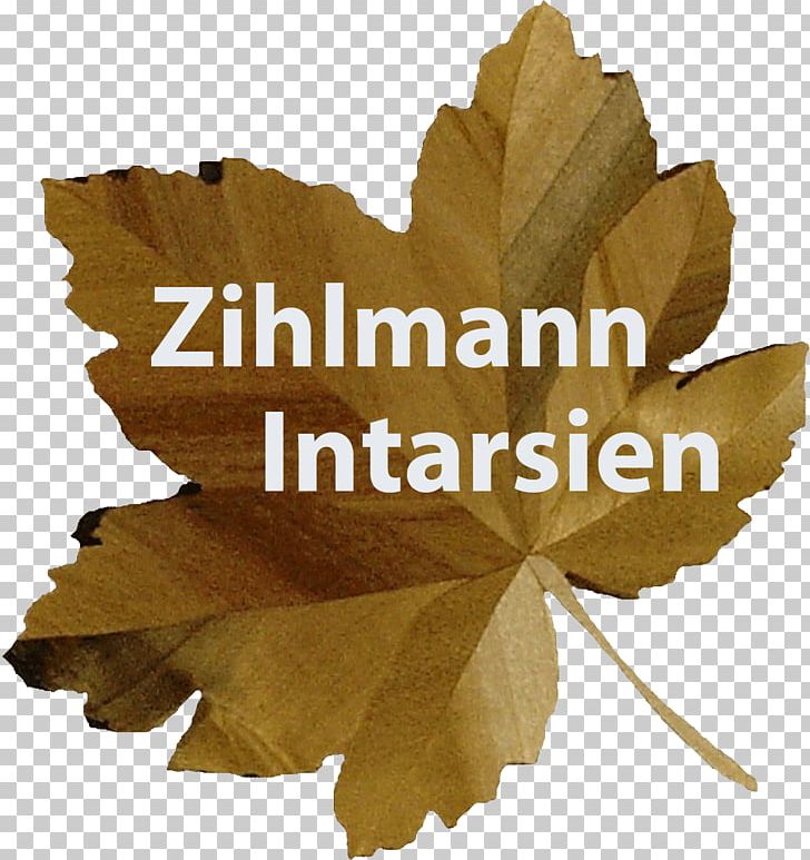 Intarsia Logo Art Font PNG, Clipart, Art, Canon, Computer Font, Concept, Handicraft Free PNG Download