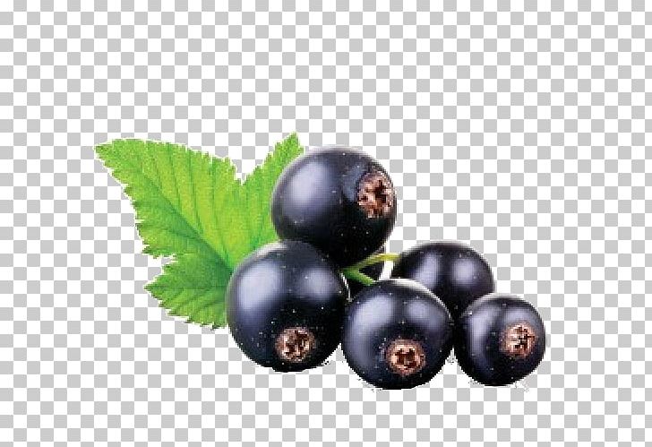 Juice Blackcurrant Fruit Stock Photography PNG, Clipart, Berry, Bilberry, Black Currant, Blackcurrant, Blueberry Free PNG Download