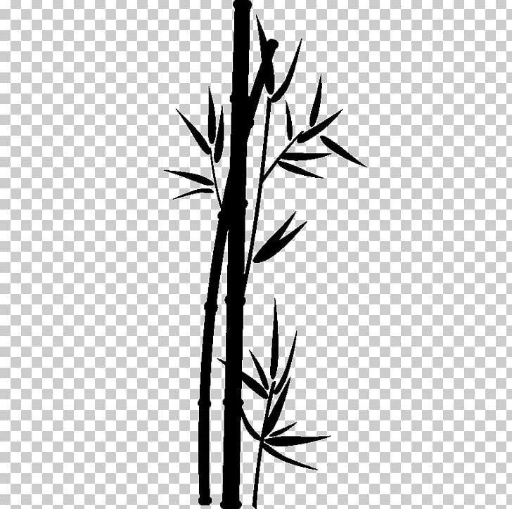 Sticker Art Bambou Tropical Woody Bamboos Plant Stem PNG, Clipart, Bamboo, Bamboo Painting, Bathroom, Bedroom, Black And White Free PNG Download