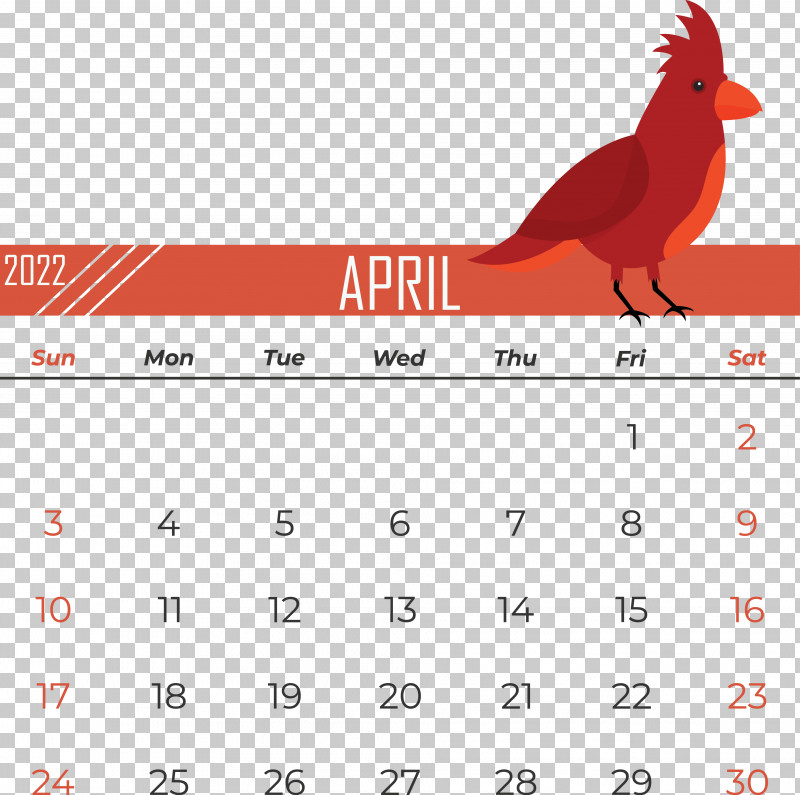 Birds Beak Calendar Line Font PNG, Clipart, Beak, Biology, Birds, Calendar, Geometry Free PNG Download