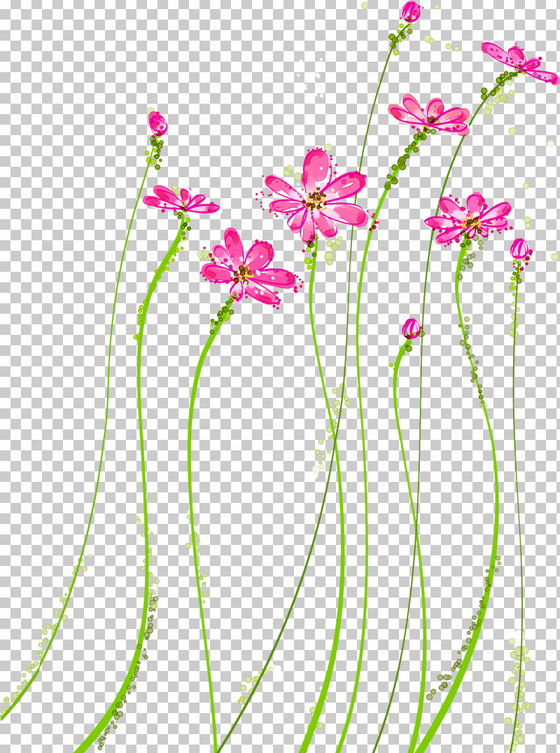 Flower Plant Pink Pedicel Plant Stem PNG, Clipart, Cut Flowers, Flower, Pedicel, Pink, Plant Free PNG Download