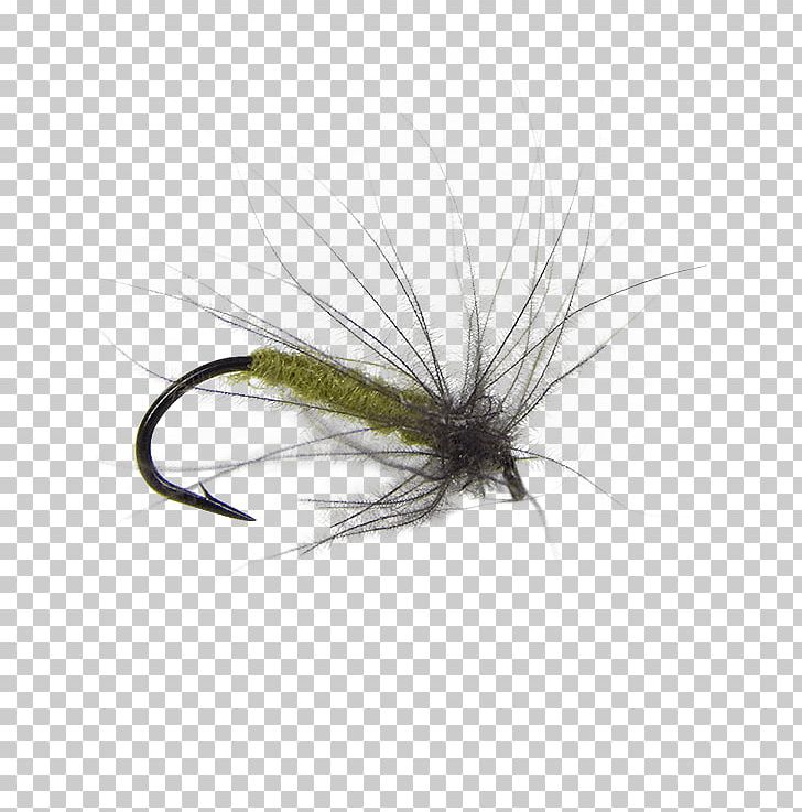 Artificial Fly Insect Fly Fishing Fly Tying PNG, Clipart, Artificial Fly, Bait, Bluewinged Olive, Fishing, Fishing Bait Free PNG Download