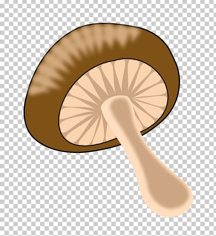 Edible Mushroom Common Mushroom Fungus PNG, Clipart, Amanita Muscaria, Common Mushroom, Cream Of Mushroom Soup, Ear, Edible Mushroom Free PNG Download