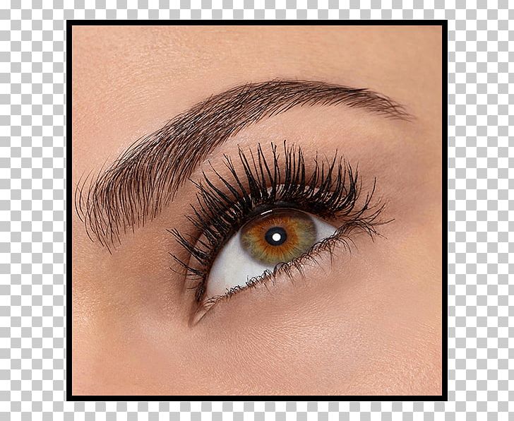 Mascara Cosmetics Eye Shadow Maybelline Eyelash PNG, Clipart, Cleanser, Closeup, Cosmetics, Eye, Eyebrow Free PNG Download