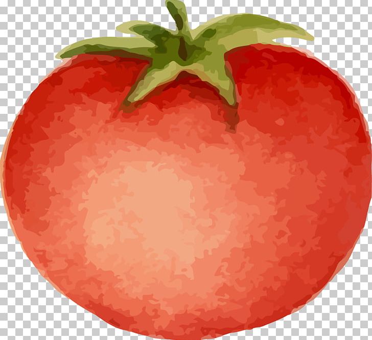 Tomato Cartoon Animation PNG, Clipart, Decorative, Decorative Pattern, Diet Food, Encapsulated Postscript, Food Free PNG Download