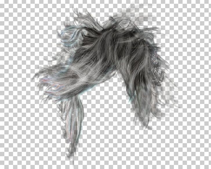 Hairstyle Long Hair PNG, Clipart, Black And White, Black Hair, Brown Hair, Carnivoran, Desktop Wallpaper Free PNG Download