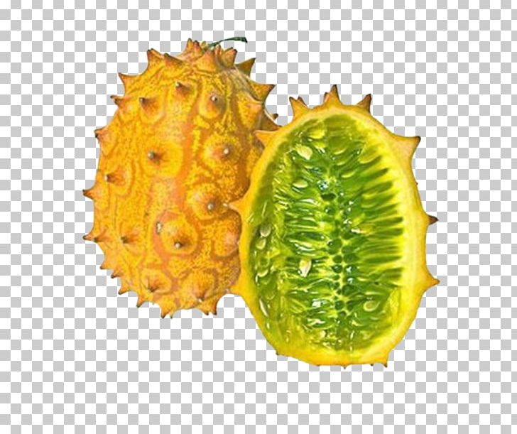 Horned Melon Cucumber Muskmelon Cucurbita PNG, Clipart, Auglis, Banco De Imagens, Cucumber, Deer Horn, Food Free PNG Download