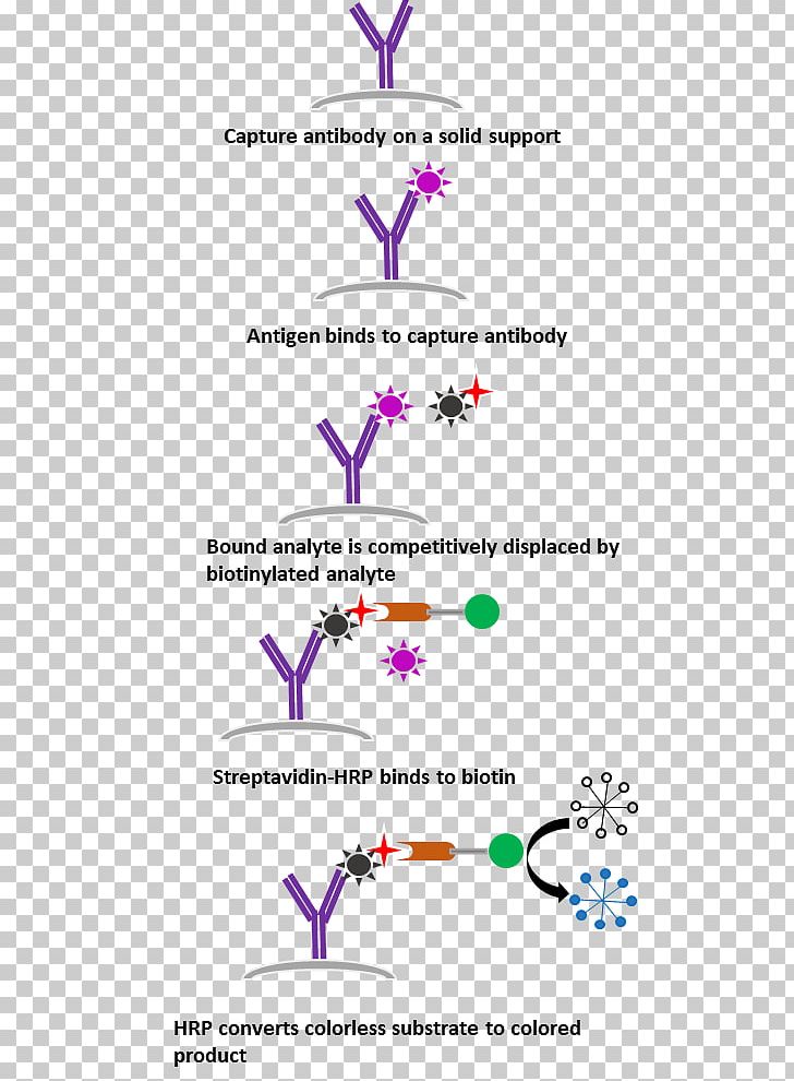 Line Point Angle PNG, Clipart, Angle, Area, Diagram, Line, Organism Free PNG Download