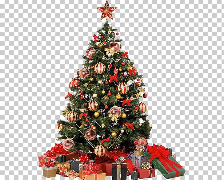 Christmas Tree Santa Claus PNG, Clipart, Christmas, Christmas Decoration, Christmas Giftbringer, Christmas Ornament, Christmas Tree Free PNG Download