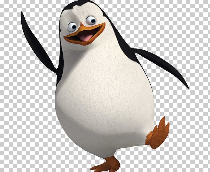 Skipper Kowalski Madagascar PNG, Clipart, Animals, Beak, Bird, Computer Icons, Download Free PNG Download