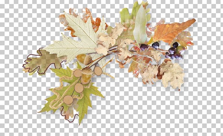 Autumn PNG, Clipart, Adobe Illustrator, Autumn, Autumn Leaves, Autumn Tree, Christmas Decoration Free PNG Download