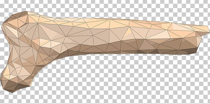 Bone Fracture Osteoporosis Polygon Rising Star Cave PNG, Clipart,  Free PNG Download