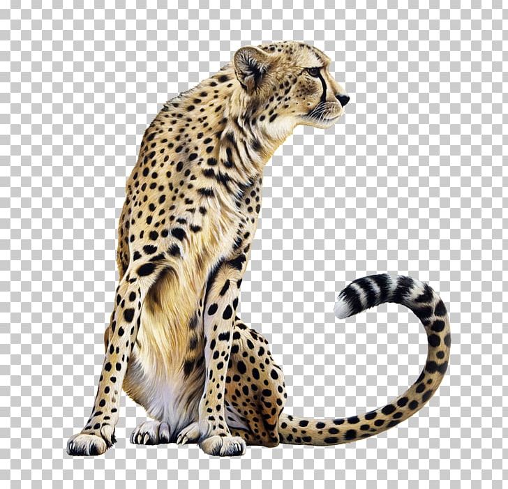 Cheetah Lion Felidae PNG, Clipart, Animals, Big Cat, Big Cats, Carnivoran, Cat Like Mammal Free PNG Download