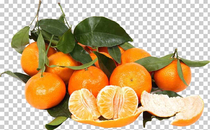 Clementine Mandarin Orange Tangerine Food PNG, Clipart, Bitter Orange, Calamondin, Citrus, Diet Food, Eating Free PNG Download
