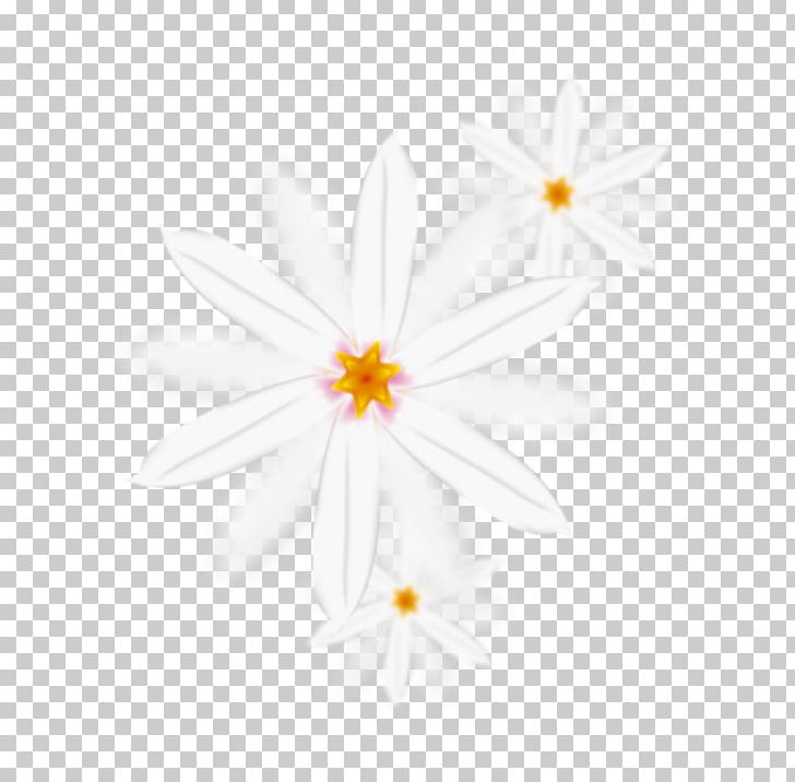 Floral Design Petal Pattern PNG, Clipart, Background White, Beautifully Vector, Black And White, Black White, Chrysanthemum Vector Free PNG Download