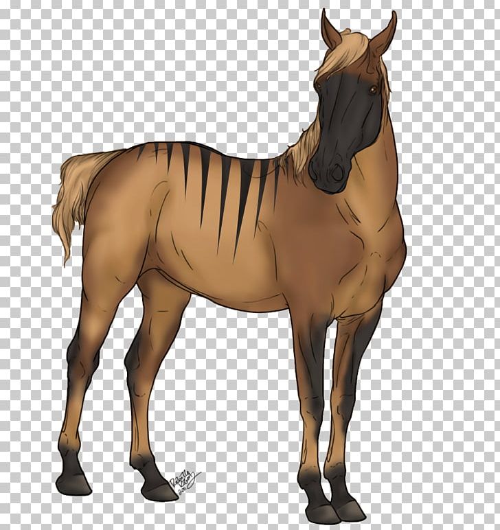 Foal Stallion Mustang Mare Rein PNG, Clipart, Anim, Animal, Antelope, Colt, Foal Free PNG Download