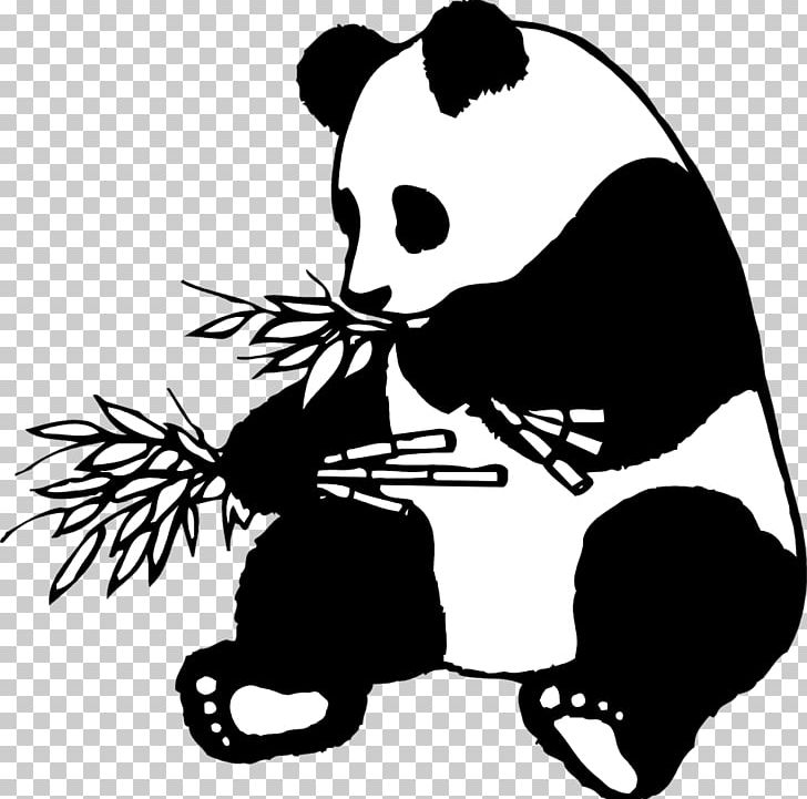 Giant Panda Drawing Line Art American Black Bear PNG, Clipart, Art, Artwork, Bear, Black, Black And White Free PNG Download
