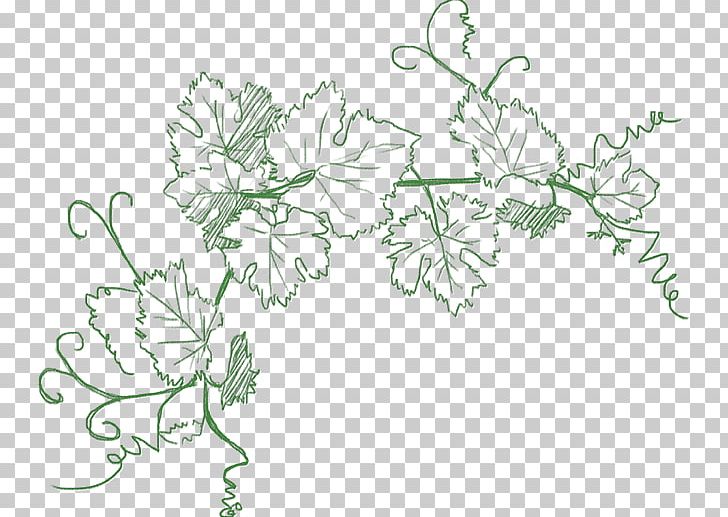 Leaf Branch Drawing PNG, Clipart, Area, Art, Artwork, Branch, Croquis Free PNG Download