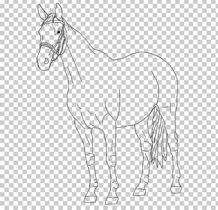 Mule Foal Bridle Stallion Colt PNG, Clipart, Animal Figure, Artwork, Black And White, Bridle, Colt Free PNG Download