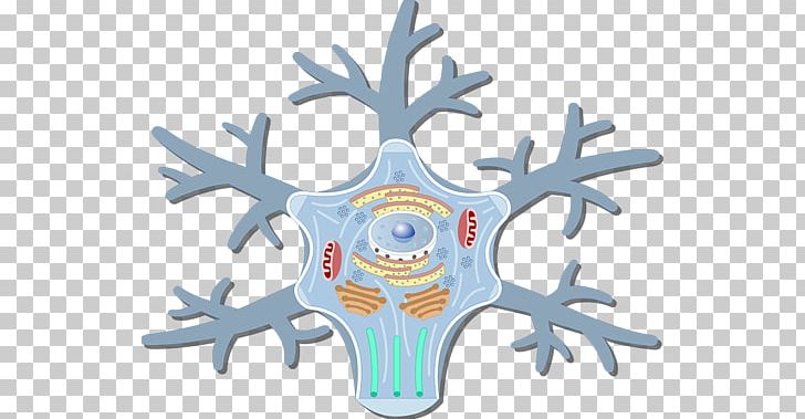 Motor Neuron Soma Cell Neurofilament PNG, Clipart,  Free PNG Download