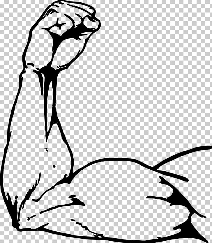 Muscle Arms Muscle Arms Biceps Drawing PNG, Clipart, Arm, Art, Artwork, Bea, Bird Free PNG Download