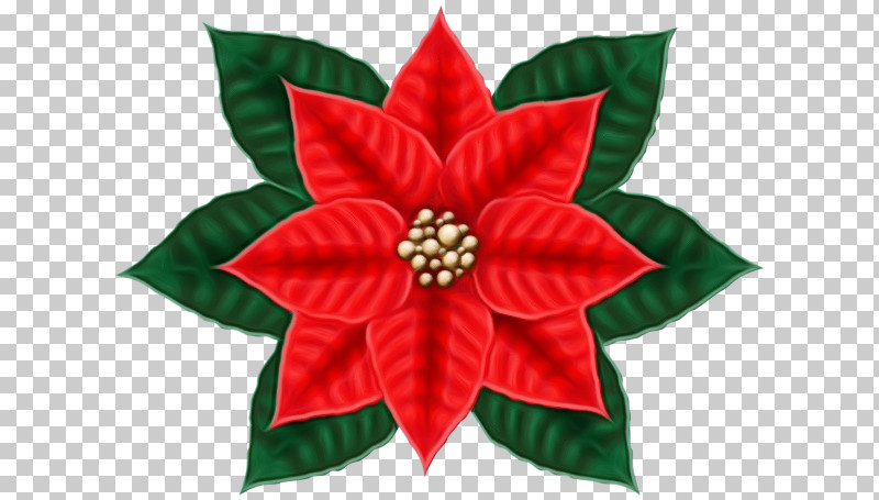 Christmas Day PNG, Clipart, Bauble, Christmas Day, Christmas Ornament M, Flower, Paint Free PNG Download