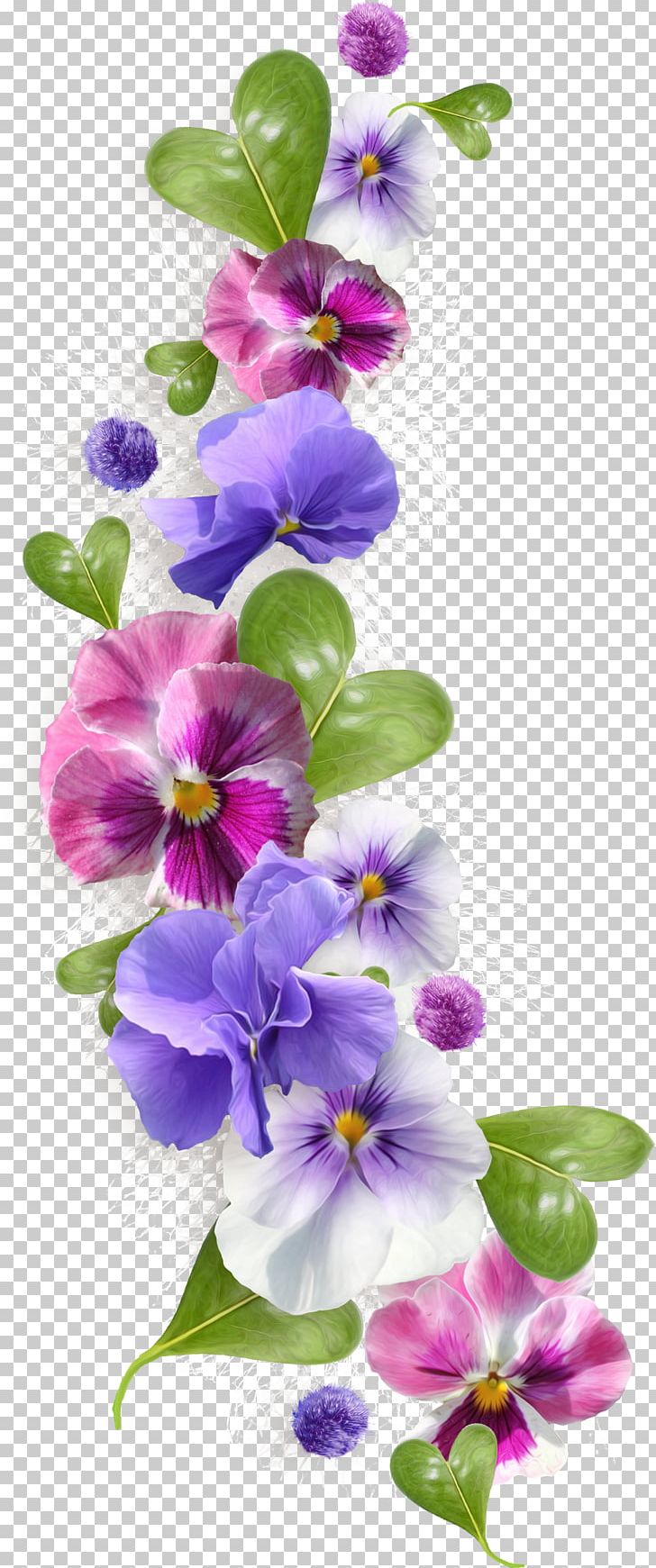 Sweet Violet Pansy African Violets PNG, Clipart, African Violets, Clip Art, Dendrobium, Drawing, Floral Design Free PNG Download