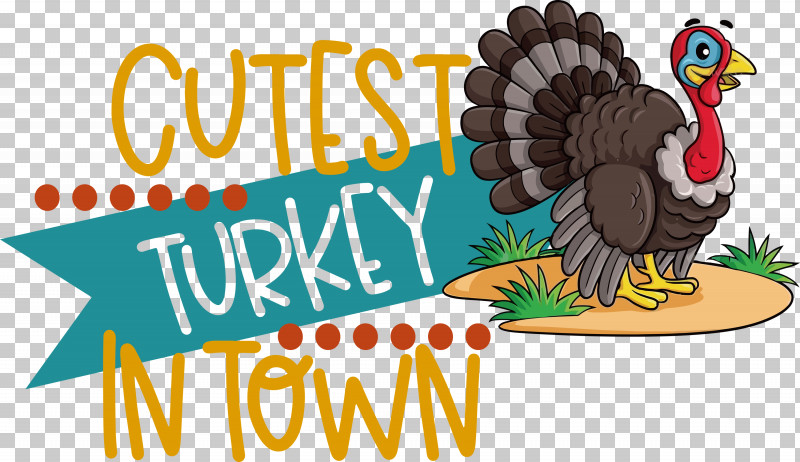 Cutest Turkey Thanksgiving Turkey PNG, Clipart, Beak, Biology, Birds, Chicken, Logo Free PNG Download