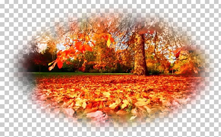 Autumn Desktop On This Day PNG, Clipart, Autumn, Computer Wallpaper, Desktop Wallpaper, Flora, Floral Design Free PNG Download