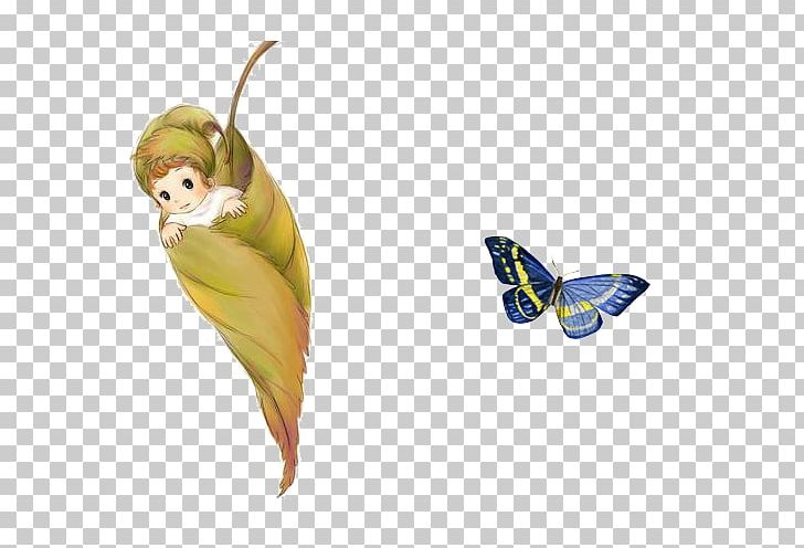 Butterfly Insect Pupa Icon PNG, Clipart, Animals, Babies, Baby, Baby Animals, Baby Announcement Free PNG Download