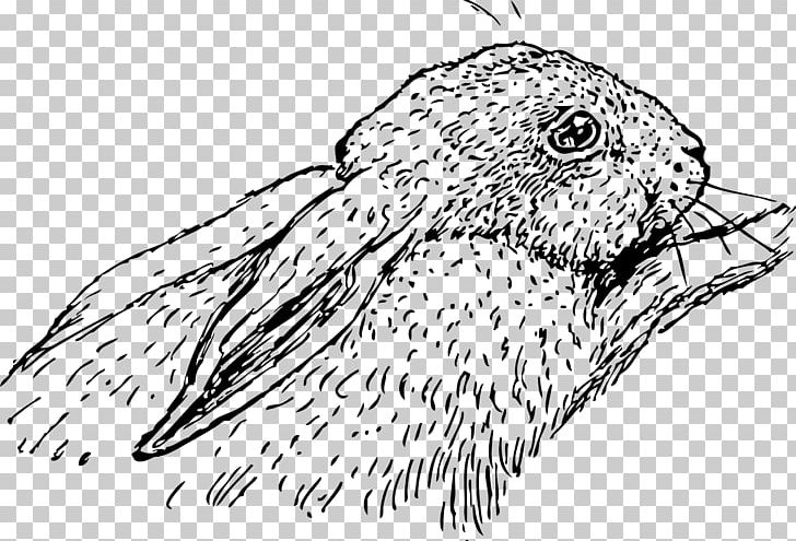 Domestic Rabbit Hare Easter Bunny PNG, Clipart, Animals, Artwork, Beak, Bird, Bird Of Prey Free PNG Download