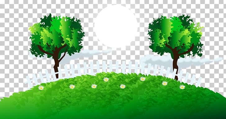 Green Tree Grass Lawn PNG, Clipart, Biome, Christmas Tree, Computer Wallpaper, Euclidean Vector, Family Tree Free PNG Download