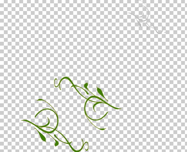 Leaf Green Plant Stem Vine PNG, Clipart, Artwork, Branch, Clip Art, Flora, Flower Free PNG Download