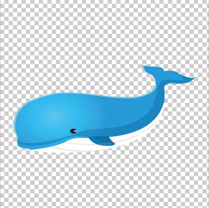 Right Whales Blue Whale PNG, Clipart, Angle, Animals, Azure, Baleen Whale, Blue Free PNG Download