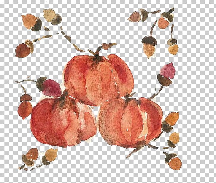 Watercolor Painting Chinese Painting Canvas PNG, Clipart, Apple, Art, Canvas, Cartoon, Chinese Painting Free PNG Download