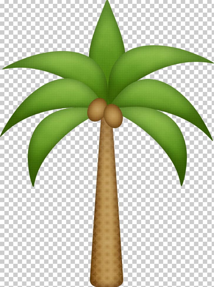 YouTube Arecaceae PNG, Clipart, Arecaceae, Bridal Shower, Flamingos Printing, Flowerpot, Leaf Free PNG Download