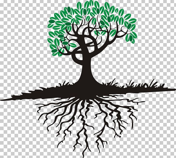 Cartoon Tree Root PNG, Clipart, Artwork, Black And White, Branch, Cartoon, Flora Free PNG Download